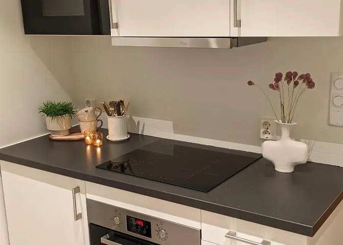 Meget Hjemmekoseligisentraltinyoppusset Appartement Bergen