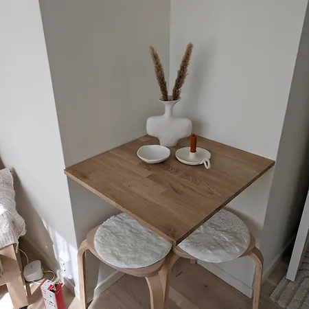 Apartment Meget Hjemmekoseligisentraltinyoppusset *