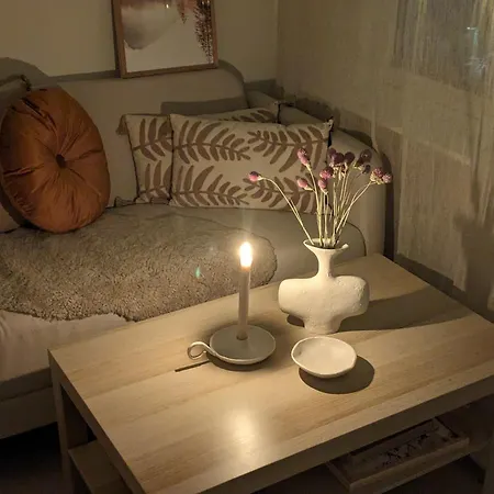 Meget Hjemmekoseligisentraltinyoppusset Bergen