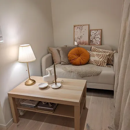 Leilighet Meget Hjemmekoseligisentraltinyoppusset