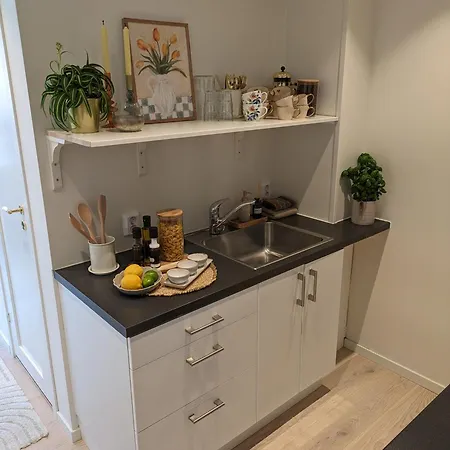 Meget Hjemmekoseligisentraltinyoppusset *