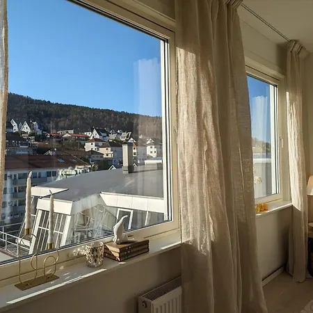 Apartment Meget Hjemmekoseligisentraltinyoppusset *