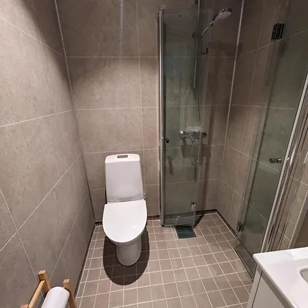 Apartment Meget Hjemmekoseligisentraltinyoppusset *