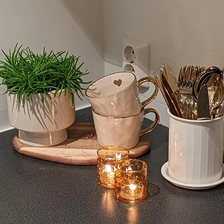 Meget Hjemmekoseligisentraltinyoppusset *