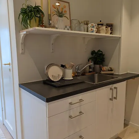 Meget Hjemmekoseligisentraltinyoppusset Bergen